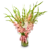 kytice gladiol